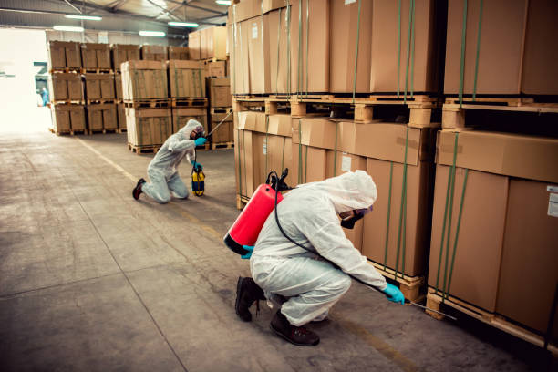 Best Pest Removal Services  in Murray, KY
