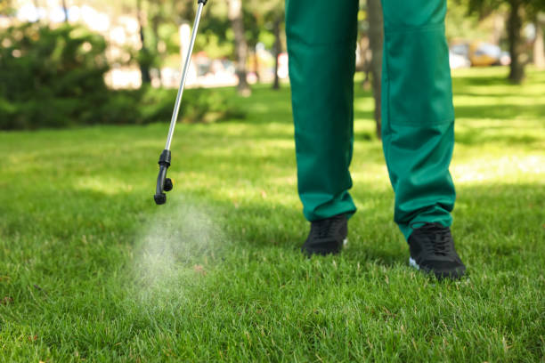 Best Exterminator Services  in Murray, KY