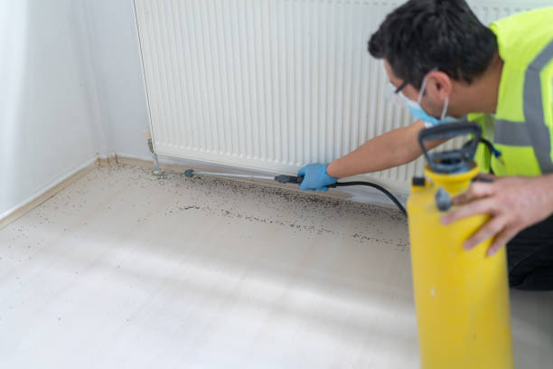 Best Flea Control Services  in Murray, KY