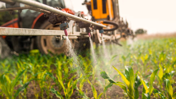 Pest Control Cost in Murray, KY