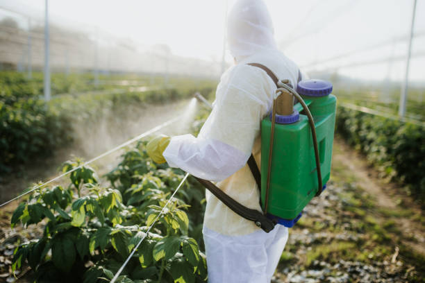 Best Best Pest Control Companies  in Murray, KY